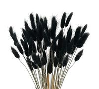 Simpls 60 Count Dried Lagurus Bunny Tail Grass Flowers, Black