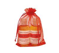 Simply Essential Sensual Massage Oil Aromatherapy Erotic Just for Us & Aphrodisiac Pure Pleasure Blends 2 x 100ml (RED Bag)