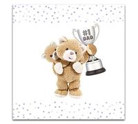 Emotional Rescue Dad Birthday Card, Cute Birthday Card for Dad, Dad Birthday Cards, Multi, One Size,SSWL014