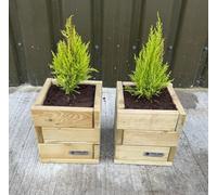 Simply Wood Signature Square Planter - Compact X 2