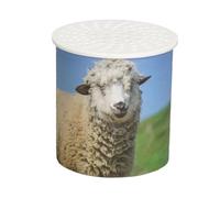Simulated Animal Sounds - Sheep Sound Imitation Toy,Entertaining Noise Toy Realistic Inverted Sounding, Voice Box Device for Kids