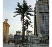 Simulated Coconut Tree Real Coconut Trees Indoor and Outdoor Decoration Tropical Plant Fiberglass Large Artificial Green Plant Floor Real Palm Tree(1.5M)