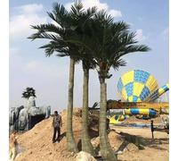 Simulated Coconut Tree Real Green Plant Coconut Fruit Trees Balcony Artificial Landscape Tree Fiberglass for Park Hotel Decoration(4M)