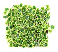Simulated Ivy Leaves Fence for Garden Screening Balcony Patio Decorative Privacy Screen, Expanding Trellis Fence Garden Fences(70cm)