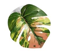 Simulated Leaf for Jumping Spider, Simulated Pets Supplies with Suction Cup - Spider Jumping House Decor | for Hermit Crab Greenhouse Plants Snake Carpet Egg Indoor Zoo Bird