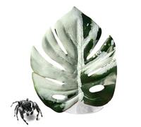 Simulated Leaf for Jumping Spider, Simulated Pets Supplies with Suction Cup - Spider Jumping House Decor | for Hermit Crab Greenhouse Plants Snake Carpet Egg Indoor Zoo Bird