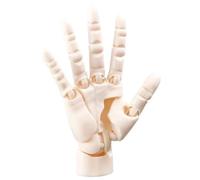 Simulation 1:1 Hand Joint Super Movable Model Ornament, Right Palm Joint Movable Model Simulation Action Figure(Style C)