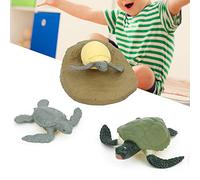 Simulation Animal Life Cycle Model Toy Children Learning Toy, Integrated Molding, Unfading, Washable, Safe, 2 Types Available, Chick Life Cycle, Tortoise Life Cycle (Turtle