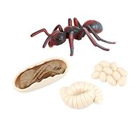 Simulation Ant Growth Life Cycle Figures Imagination Toy for Kids Red