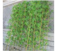 Simulation Bamboo Pole, Realistic No Maintenance Artificial Plant for DIY, Home, Office Halls, Street View, Room Fake Tree Wall Dividers Screen