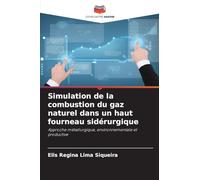 Simulation de la combustion du gaz naturel dans un haut fourneau sidérurgique: Approche métallurgique, environnementale et productive