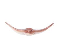 Simulation Marine Animal Model Kids Educational Toy for Learning About Marine Life, 19.2 X 14.6 X 4cm Plastic Figurine (PL127-1525)