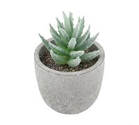 Simulation Multi-Headed Succulent Plants in Pot, Variegated Artificial Greenery for Home Garden Office Decor, Low Maintenance Fake Plant Desktop Decoration, Plastic 7x6.8x5cm(10)