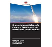 Simulation numérique du champ d'écoulement au-dessus des fusées sondes
