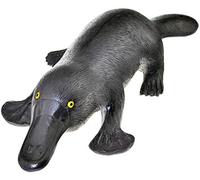 Simulation Platypus Model - Animal Anatomy Model Platypus Model - Biology Teaching Demonstration Model - for Medicine Teaching Study Tool