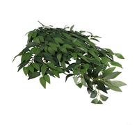 Simulation Rattan Green Plant Artificial Vine with Realistic Leaves for Decorating Homes, Shops, Weddings, and More (85cm)