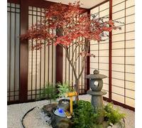 Simulation Red Maple Potted Green Plants Decoration Artificial Artificial Artificial Green Plants Indoor Landscaping Simulation Tree 1m