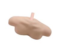 Simulation Shoulder Model Pvc Beige Teaching Model for Practice