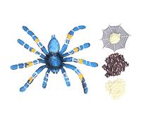Simulation Spider Toy Cycle Growth Model Cycle Model Animal Life Simulation Model Educational Toy for Children Kids