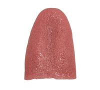 Simulation Tongue Toy Elastic - Lightweight Premium Modern Halloween Party Prank Prop, Durable, Tongues , Realistic Trick, Magicians Props Haunted Houses | Haunted Houses Ergonomic Elegant