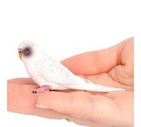 Simulation Wildlife Model Set Budgies Birds Birds Static Plastic Toys Parrot Diverse Mod For Children Choices Animal figurine fabric parrot pretend feathered figures toy cake kid blue iris pre