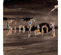 Sin Fang Bous - Landslide/The Only Living Boy In New York [VINYL]