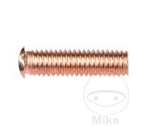 SIN MARCA Pack of 100 threaded pins M5 X 18