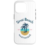 Sinai Beach Martinique Case for iPhone 16 Pro