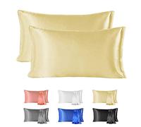 Since Silk 100% Mulberry Silk Pillowcase 2 Pieces Set, 22 Momme Grade 6A Silk Pillowcases for Hair and Skin, Soft Silk Pillow Case with Envelope Closure (50x66 cm, Yellow)
