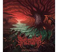 SINCE THE DEATH - ENTANGLED