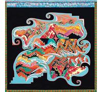 Since Time Is Gravity [VINYL]