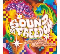 Sinclar, Bob F.Gary - Sound of Freedom