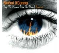 Sinead O'Connor - Troy Remixes [12" VINYL]