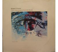 Sinéad O'Connor - Troy (The Phoenix From The Flame) (The German Mixes)