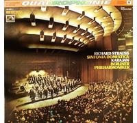 Sinfonia Domestica Op.53 [Vinyl LP]