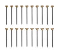 SING F LTD 100pcs Brass Knurled Head Picture Pins 25x1.4mm Heavy Duty Knurled Head Hanging Nails for Hanging Photo Frames Record Racks Paintings