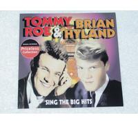 Sing The Big Hits [Us Import]