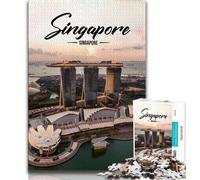 Singapore 1000 Piece Jigsaw Puzzle for Adults And Teenagers,Quiz Game Wall Decoration Unique Birthday And Xmas Gifts 50x75cm