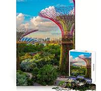 Singapore 1000 Teenager Pieces Jigsaw Puzzle Brain Challenge Toy Home Activity Clear Cut Heartfelt Gift 50x75cm