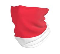 Singapore Flag Pattern Multifunctional Elastic Neck Warmer Scarf Adjustable Balaclava Outdoor Essential Versatile Neck Gaiter Police Military Windproof Mask Outdoor Sports Gear