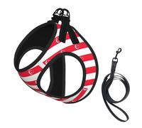 Singapore Flag Print Small Dog Harness And Leash Set, Adjustable Soft Vest With 360° Reflective Straps For Cats Puppy