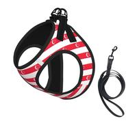 Singapore Flag Print Step in Dog Harness and Leash Set,Adjustable Reflective Harness for Small Dogs Cats