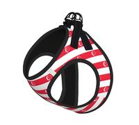 Singapore Flag Print Step in Dog Harness and Leash Set,Adjustable Reflective Harness for Small Dogs Cats