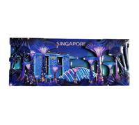 Singapore Refrigerator Magnet Tourism Souvenir Fridge Decoration Craft 3D Collection