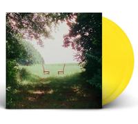 Singin' To An Empty Chair [VINYL]