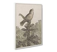 Singing Bird On Pine Tree By Theo Van Hoytema Canvas Print | Gallery Wrapped 30mm Frame Wall Art | 20x14 inches | Ready to Hang | Classic Animals Picture | Living Room Bedroom Lounge Office