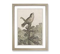 Singing Bird On Pine Tree By Theo Van Hoytema Classic Painting Framed Print | A2 Oak Framed Wall Art | Ready to Hang | Classic Floral Picture | Living Room Bedroom Lounge Office