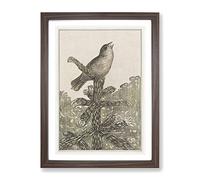Singing Bird On Pine Tree By Theo Van Hoytema Classic Painting Framed Print | A3 Walnut Framed Wall Art | Ready to Hang | Classic Floral Picture | Living Room Bedroom Lounge Office