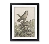 Singing Bird On Pine Tree By Theo Van Hoytema Classic Painting Framed Print | A4 Black Framed Wall Art | Ready to Hang | Classic Floral Picture | Living Room Bedroom Lounge Office