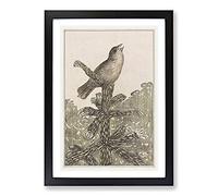 Singing Bird On Pine Tree by Theo Van Hoytema Framed Print | A2 Black Framed Wall Art | Ready to Hang | Modern Floral Picture | Living Room Bedroom Lounge Office